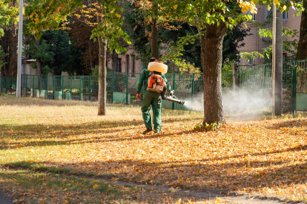 Best Pest Control for Businesses  in Forked River, NJ